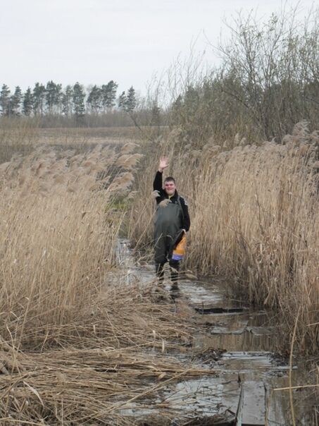 ���� 38679301 ������� ������, 34 ����, ���� ���������� � ��������