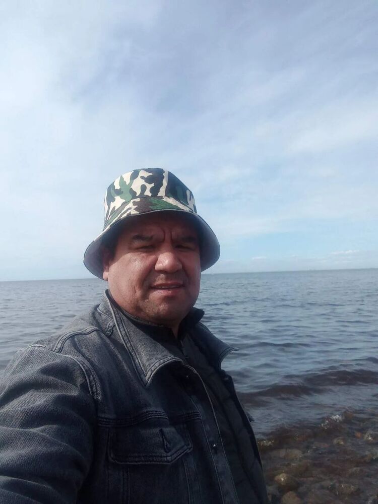  43444541  , 49 ,    -