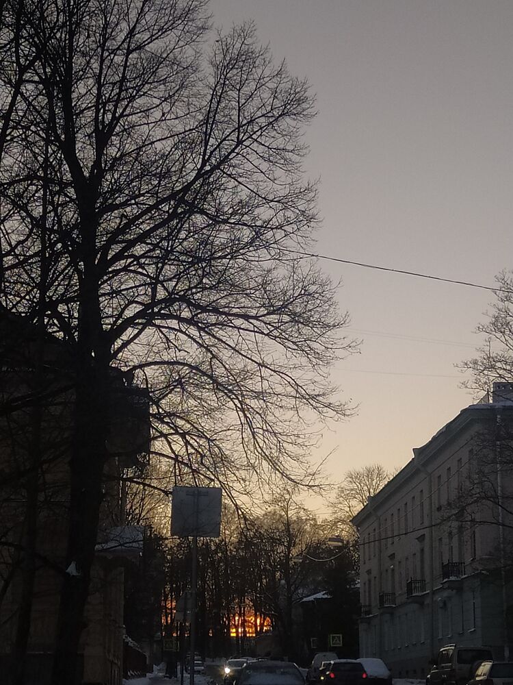  40079021  , 58 ,    -