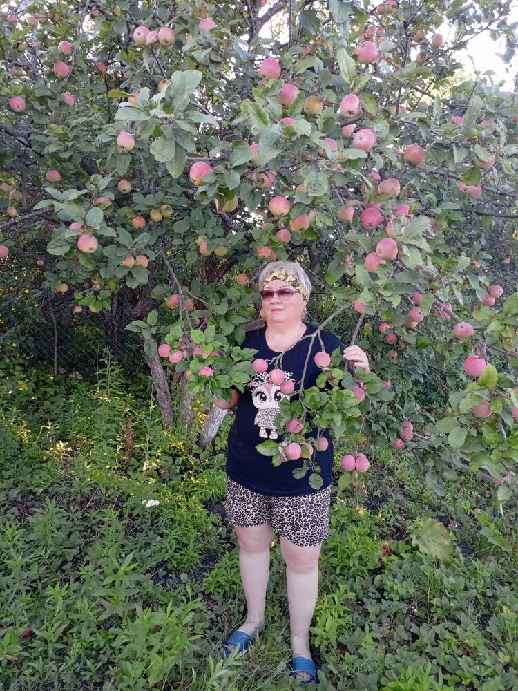 ���������� ���, ���� ������� ����, 65 ���, ������������ ��� c�������� ���������