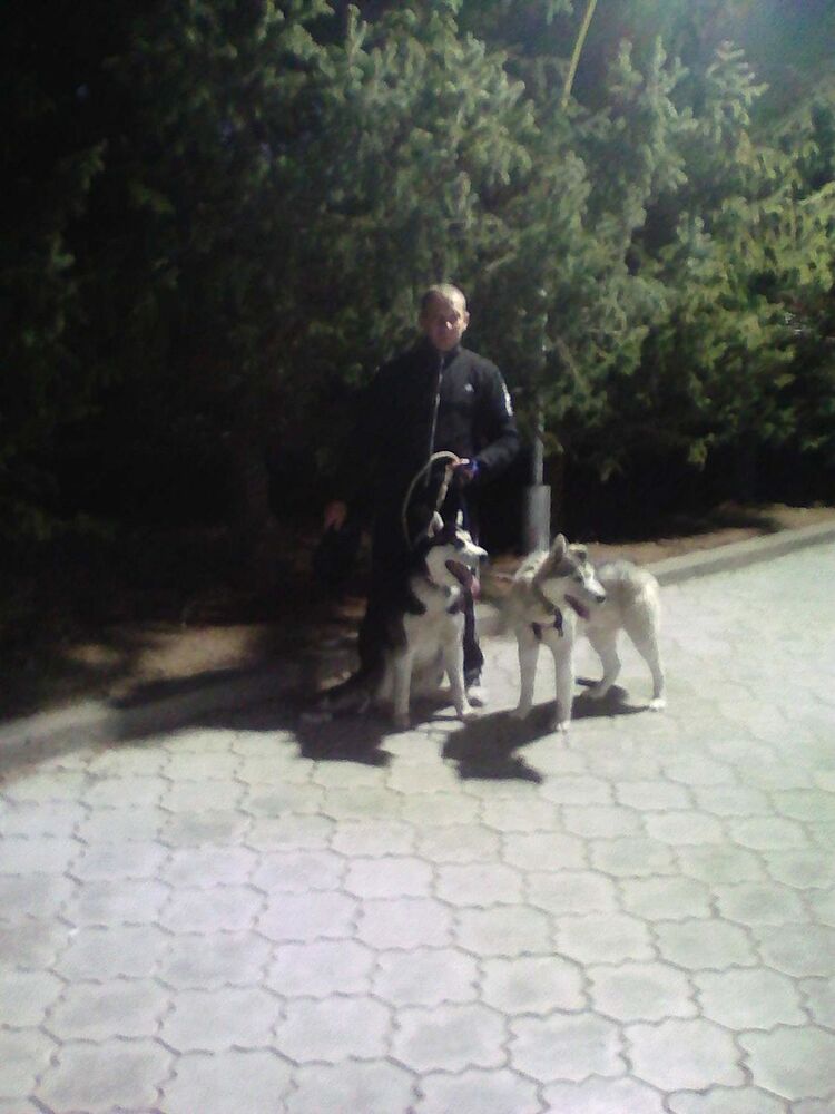 ���� 18565571 ������� Alex, 47 ���, ���� ���������� � �������