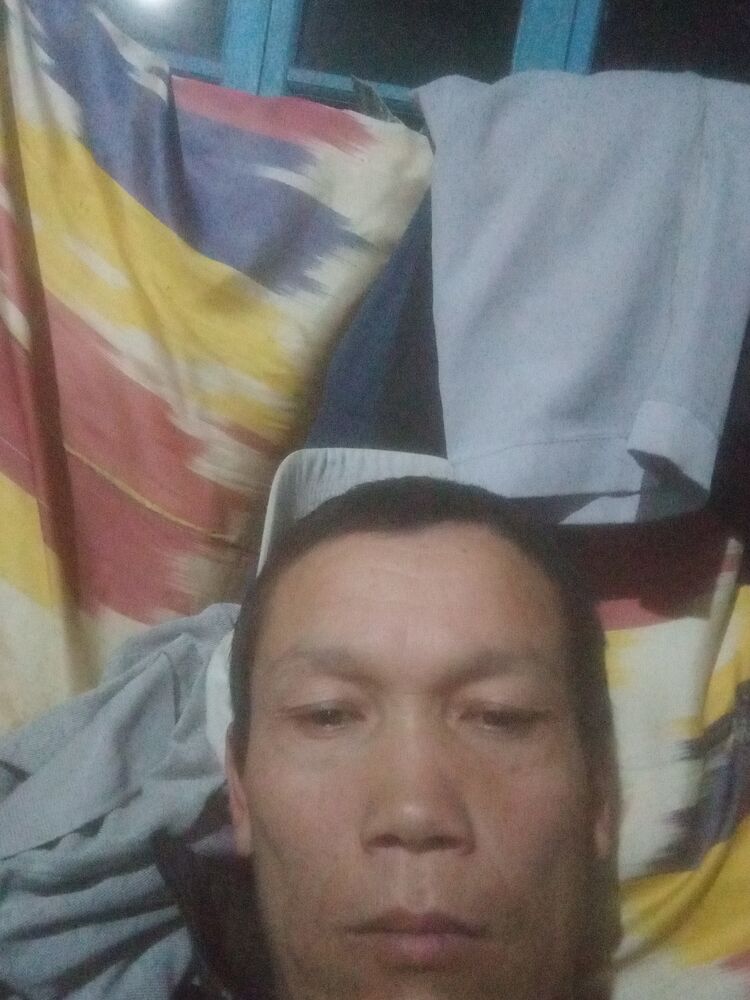  45794511  Alibek, 27 ,    