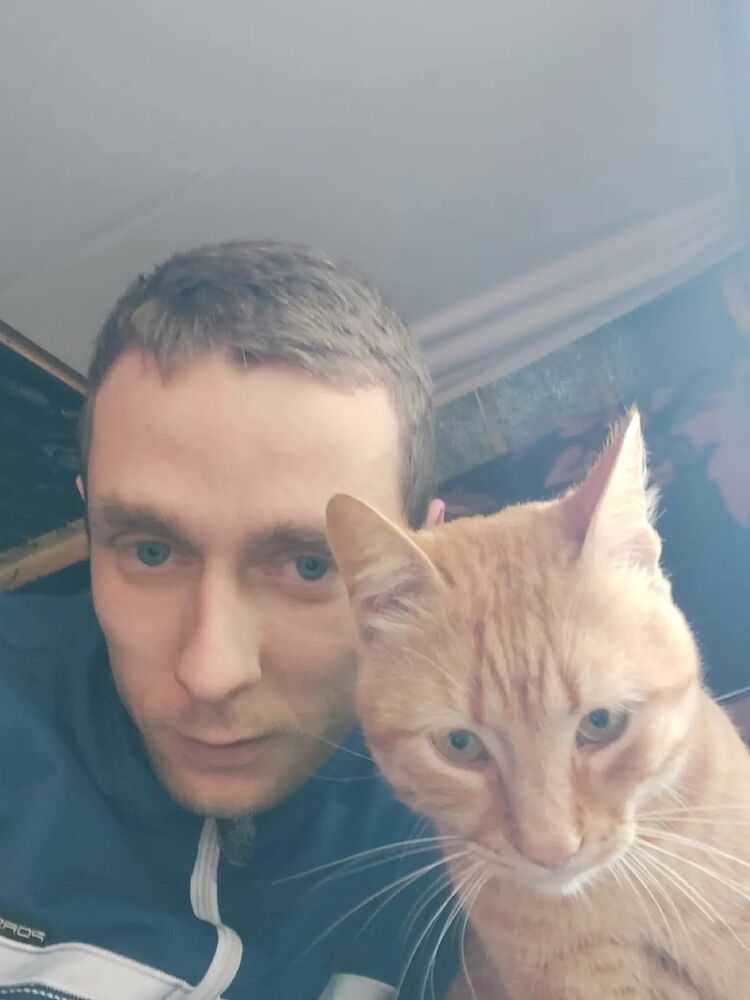  ,   , 28 ,     , c , 