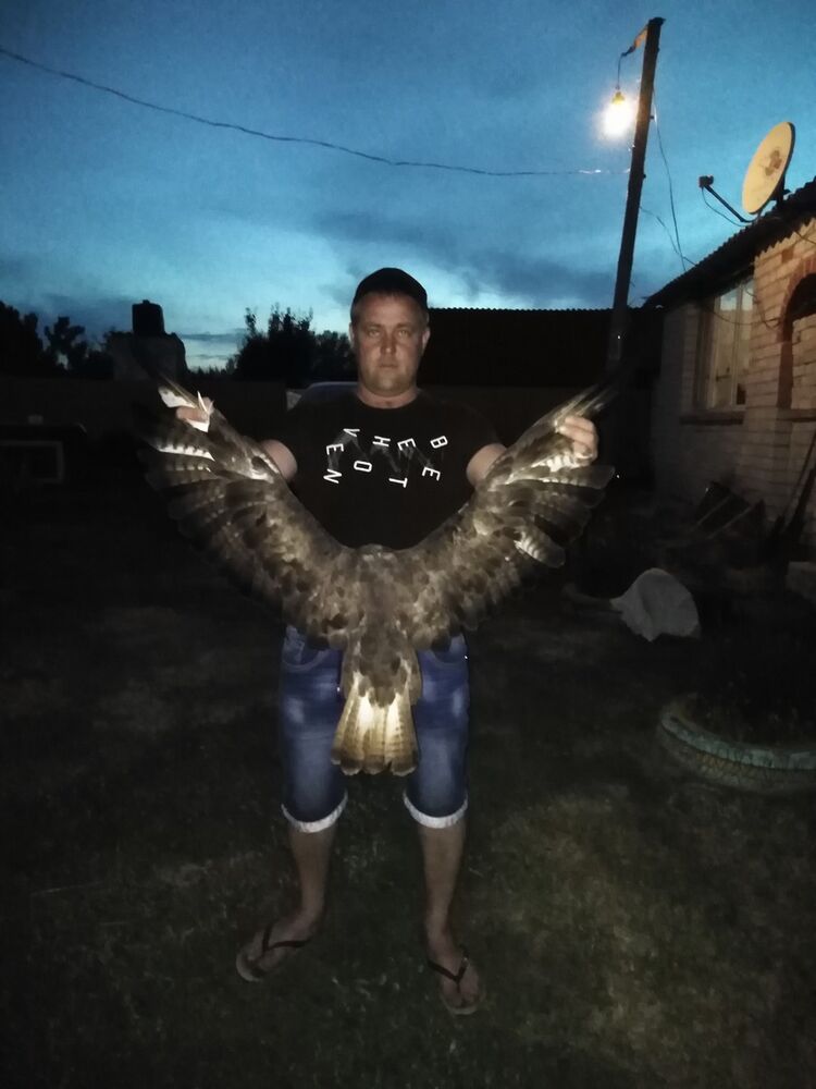 ���� 16513381 ������� ������, 39 ���, ���� ���������� � �����������