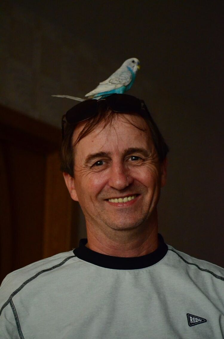 ���� 53426631 ������� ��, 54 ����, ���� ���������� � ��������