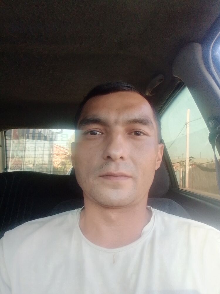  53548831  Rovshan, 26 ,    
