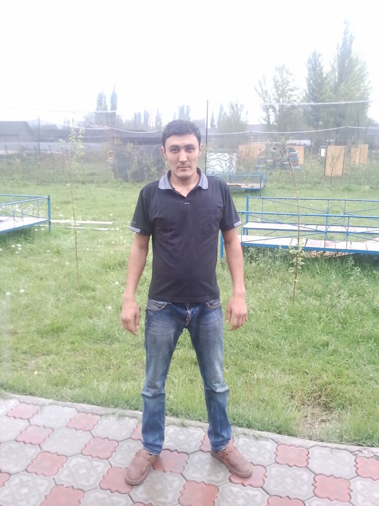 4949761  , 40 ,    