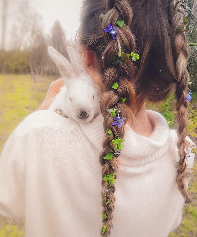 ���������� ������, ���� ������� ����, 29 ���, ������������ ��� ������, ����� � ���������