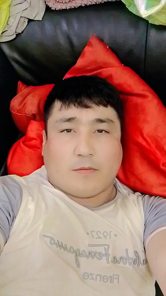  41448701  , 33 ,    