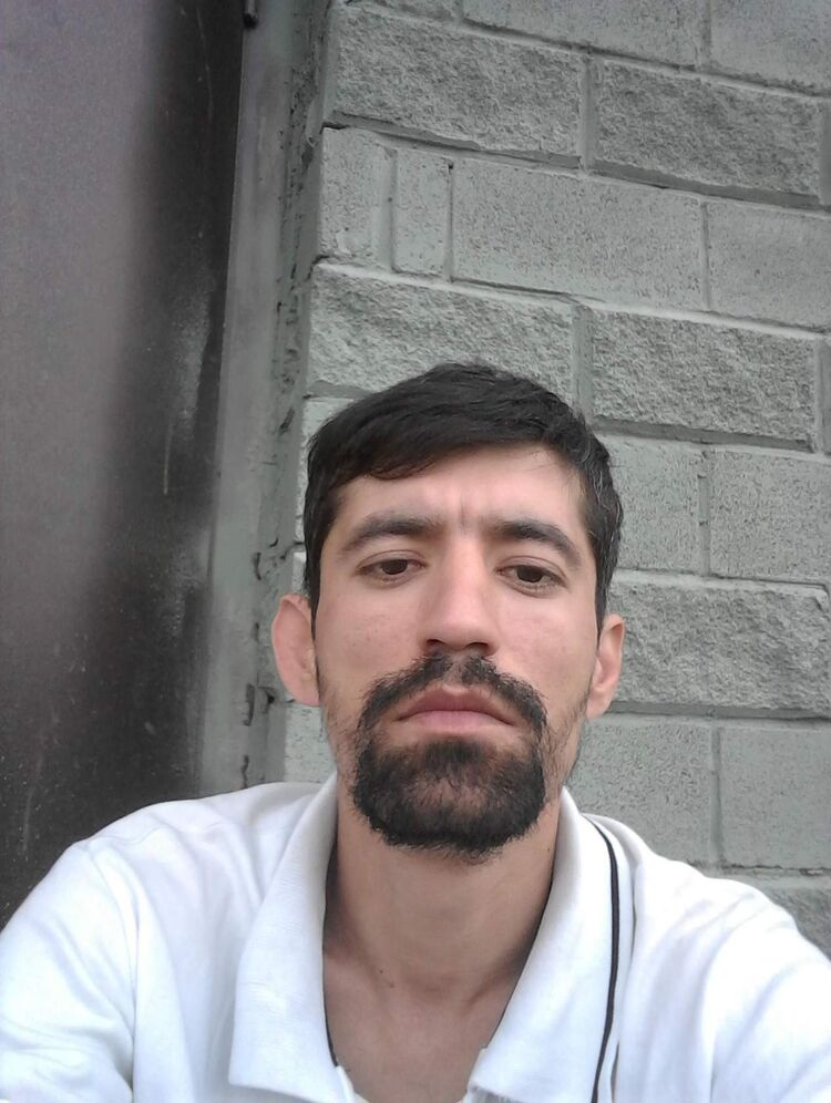 ���� 45176141 ������� ����, 38 ���, ���� ���������� � �����-����������