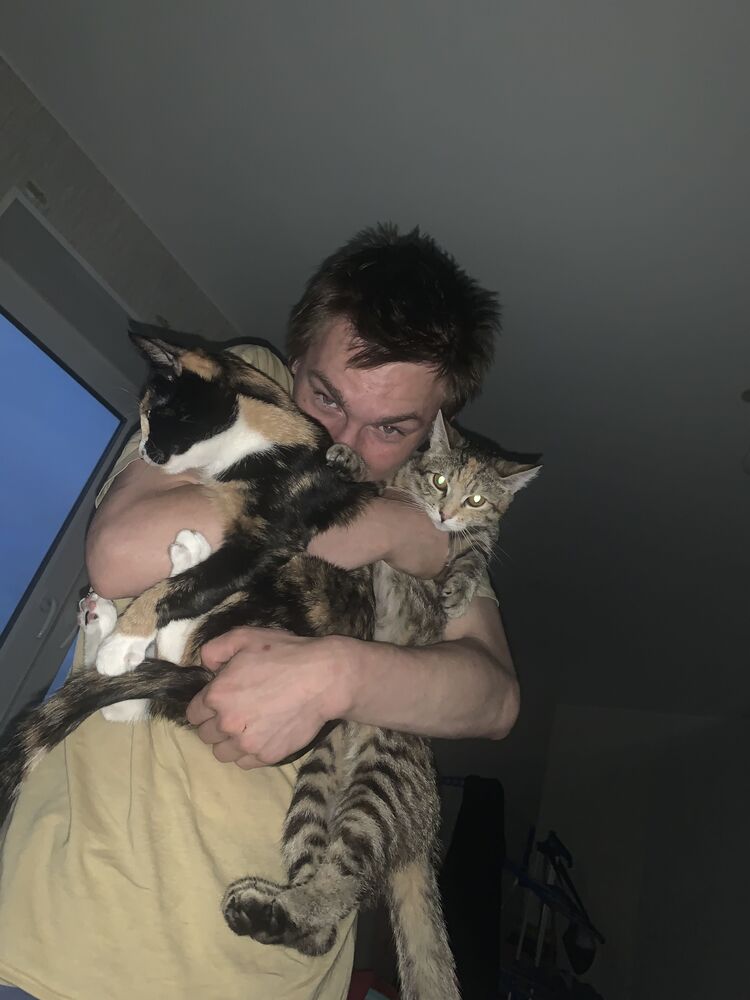  52512151  , 20 ,    -