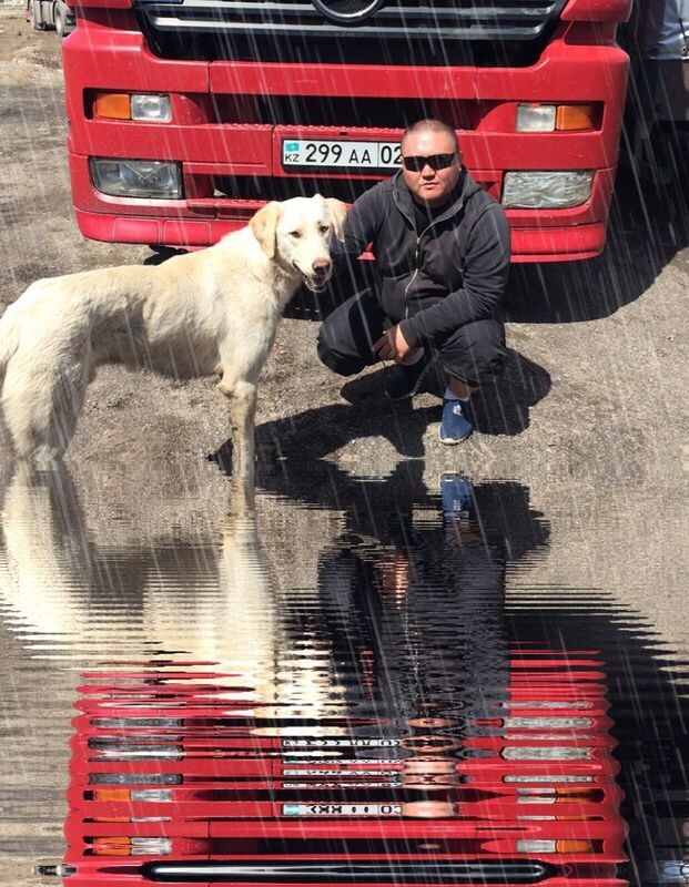 ���������� ������, ���� ������� ����, 48 ���, ������������ ��� ������, ����� � ���������, c�������� ���������