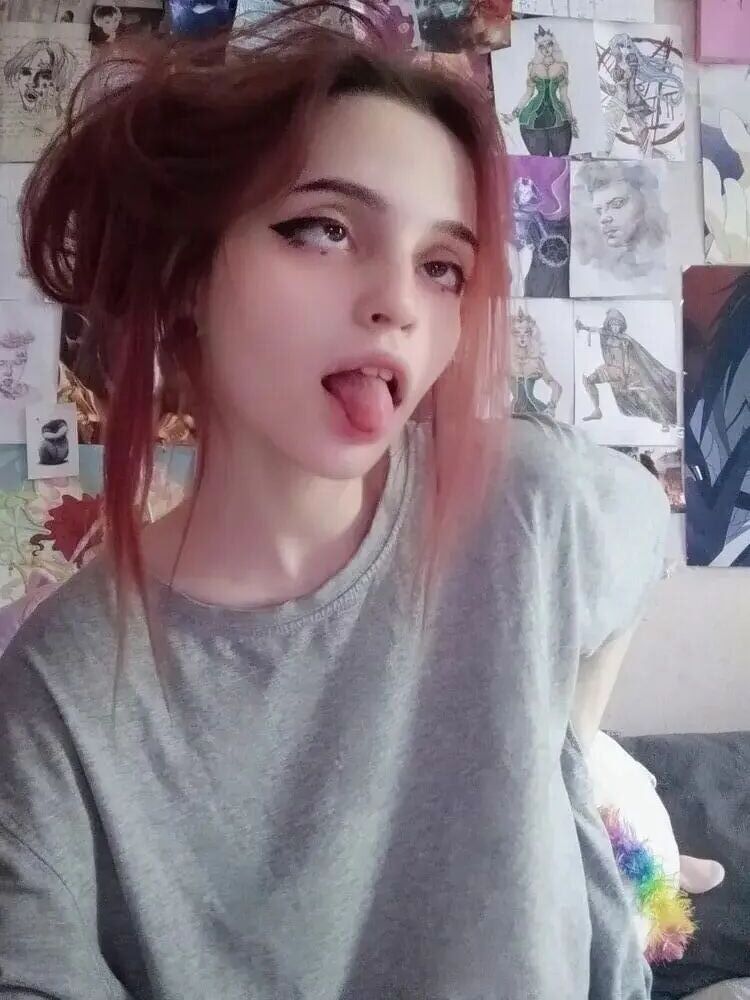  45019061  , 19 ,    
