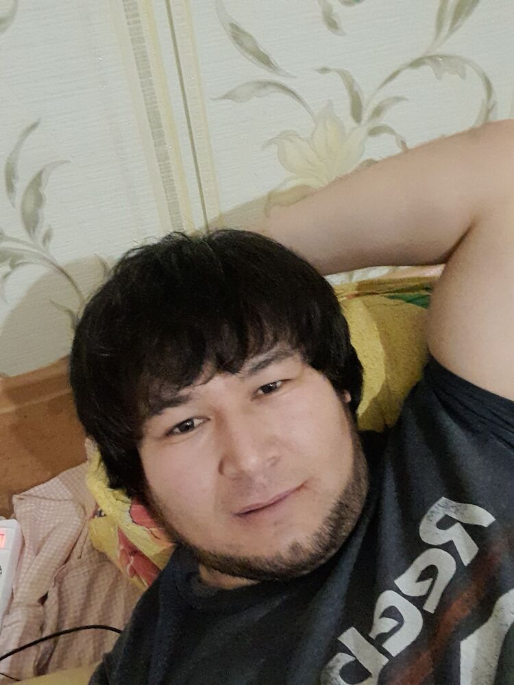  43171421  , 33 ,    