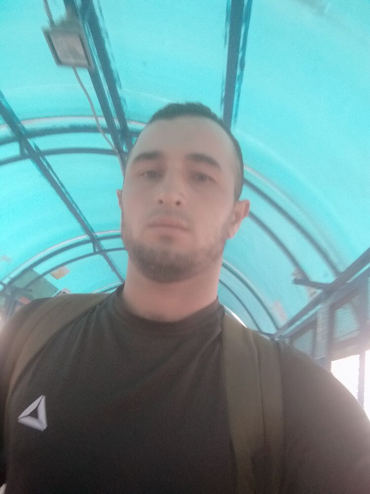  24019461  , 31 ,    