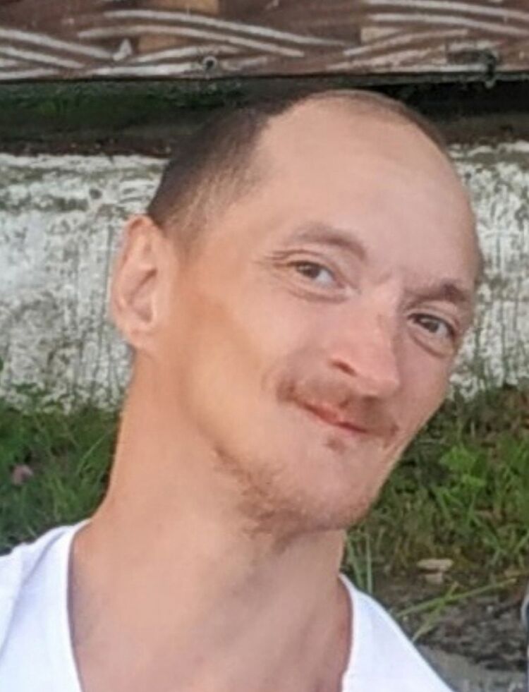 ���� 55603681 ������� �����, 48 ���, ���� ���������� � �������