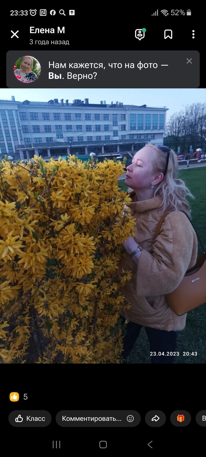 ���������� �����, ���� ������� ������, 52 ����, ������������ ��� c�������� ���������