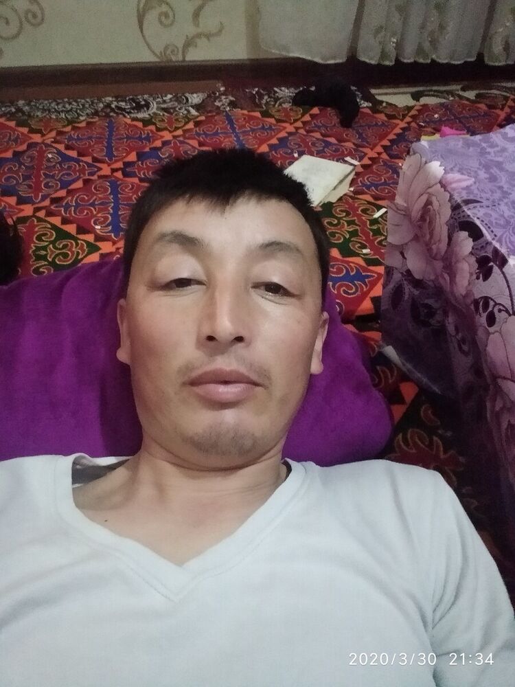  20831091  , 33 ,    