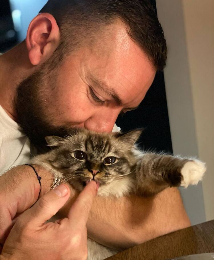 ���������� �����-���������, ���� ������� ���������, 36 ���, ������������ ��� ������, ����� � ���������