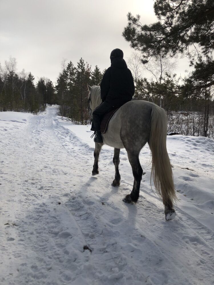  39818601  , 43 ,    