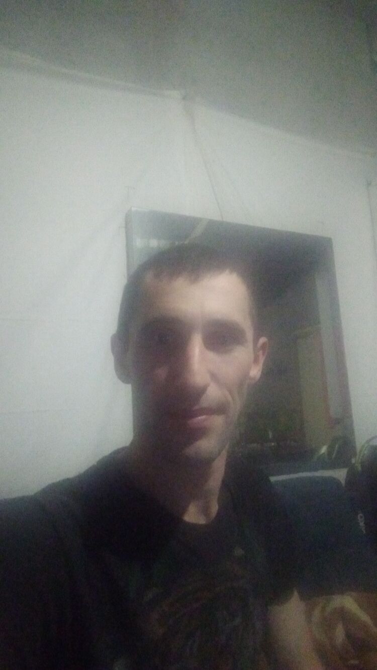  49942791  , 38 ,    