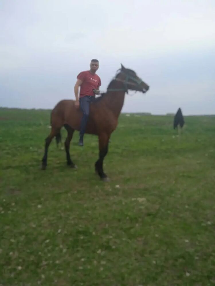 ���� 25373861 ������� ������, 41 ���, ���� ���������� � ����������