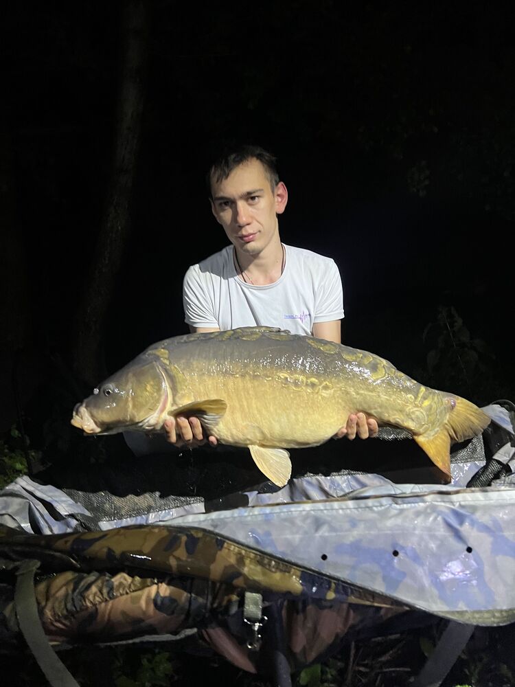 ���� 37179811 ������� ����, 27 ���, ���� ���������� � �������