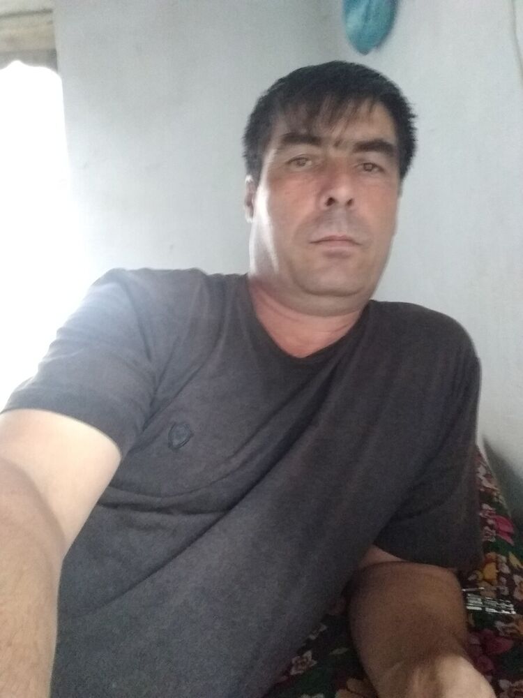  20834041  , 50 ,    