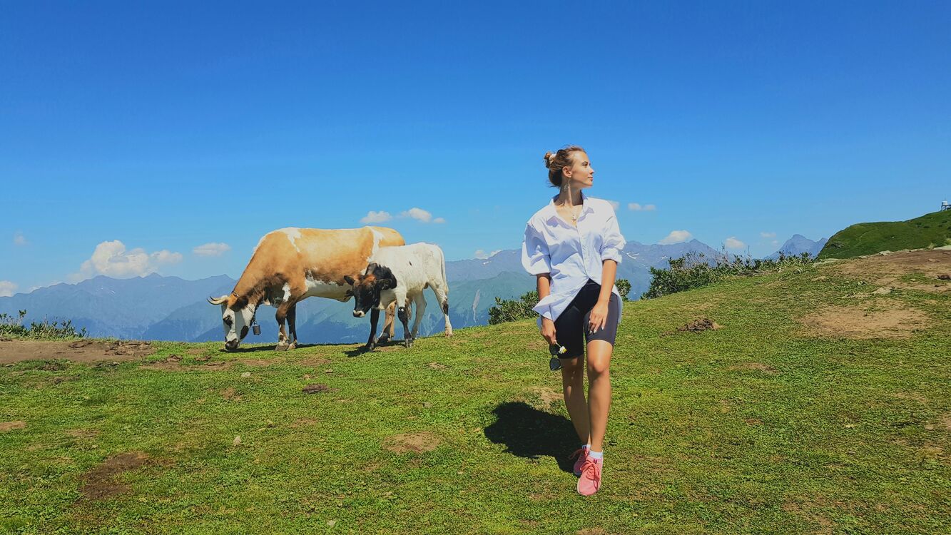  27085481  , 23 ,    -