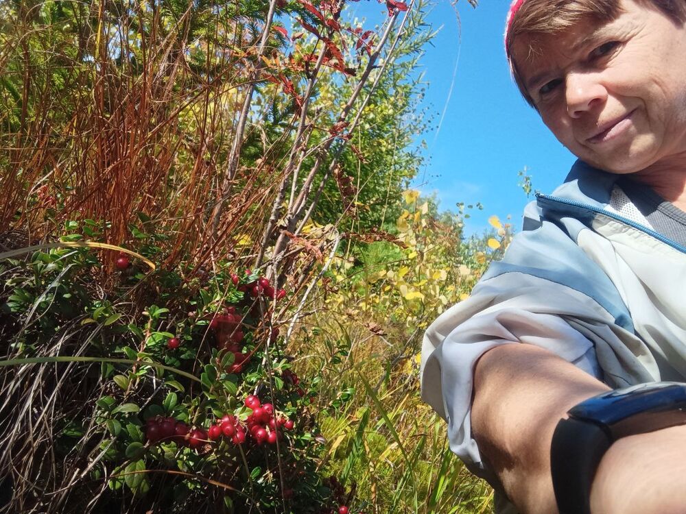 ���������� ��������, ���� ������� �����, 60 ���, ������������ ��� ������, ����� � ���������