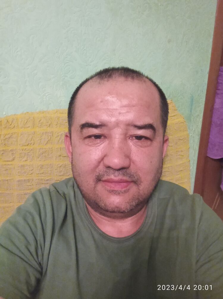  33628391  , 49 ,    