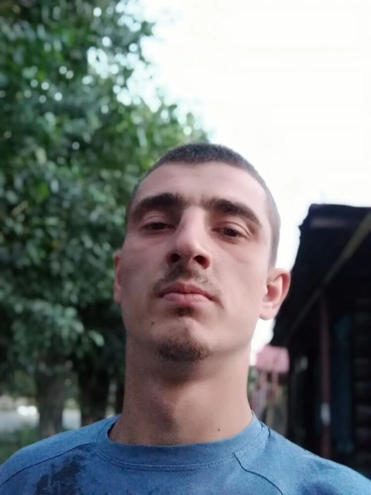  29614441  , 31 ,     