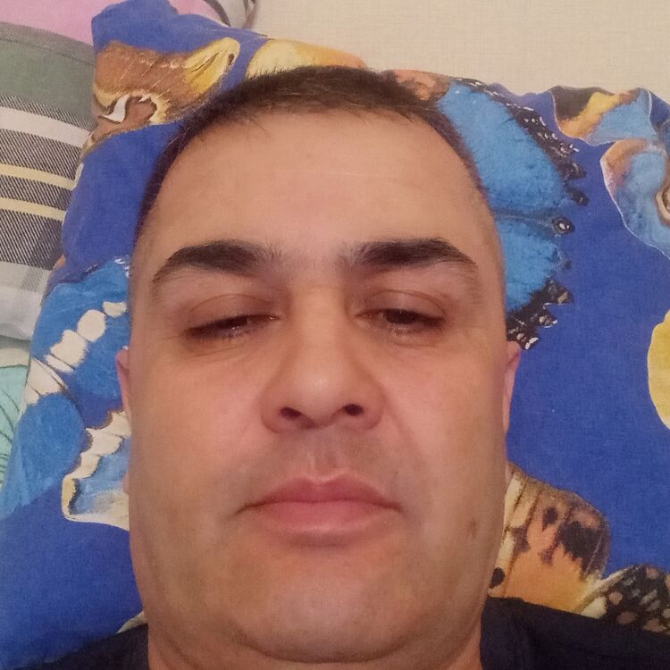  27604911  , 48 ,    