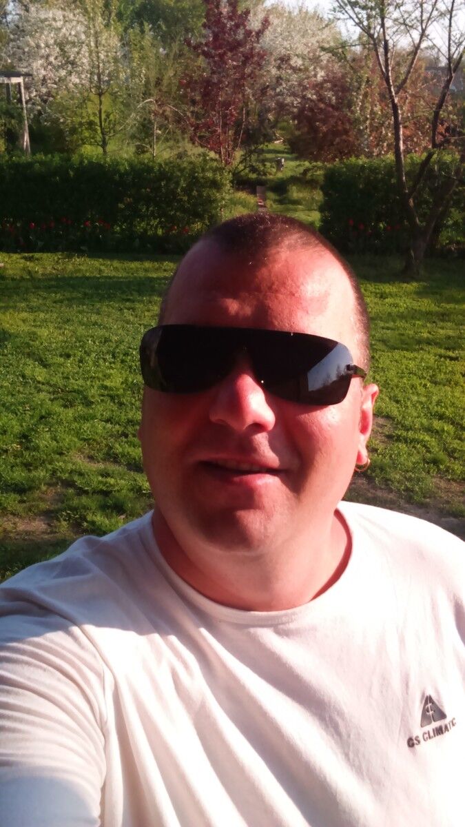  15981381  , 43 ,    --