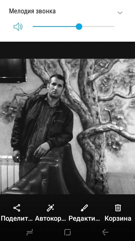 ���������� ���������� �����, ���� ������� ������, 46 ���, ������������ ��� ������, ����� � ���������