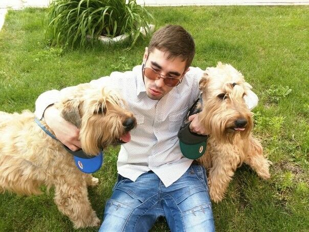 ���� 9906561 ������� ���������, 36 ���, ���� ���������� � ������