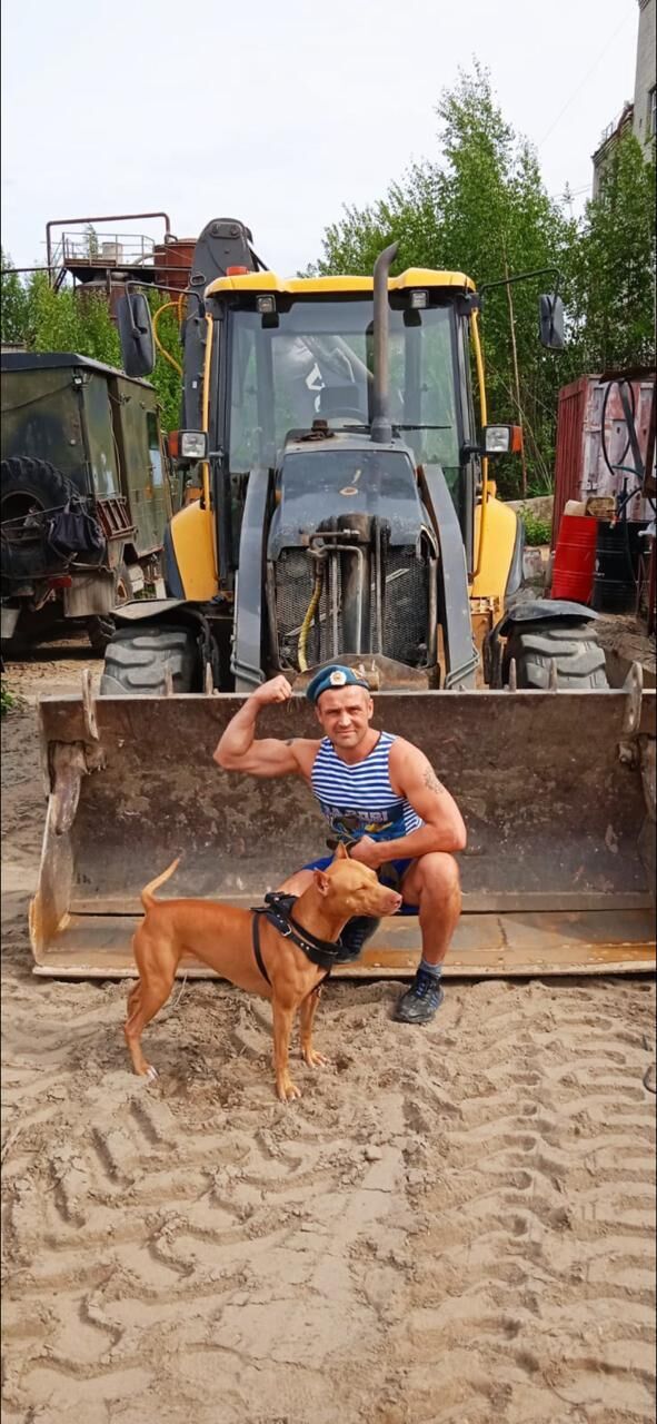 ���� 25992641 ������� ������, 39 ���, ���� ���������� � �����-����������