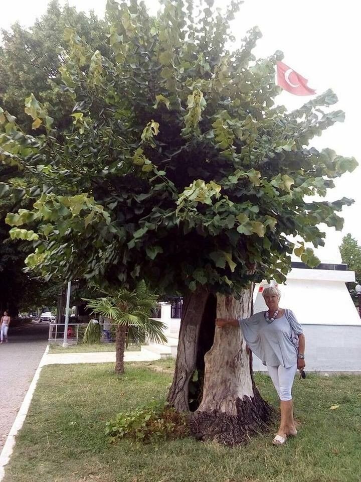  ,   Larissa, 66 ,   c 
