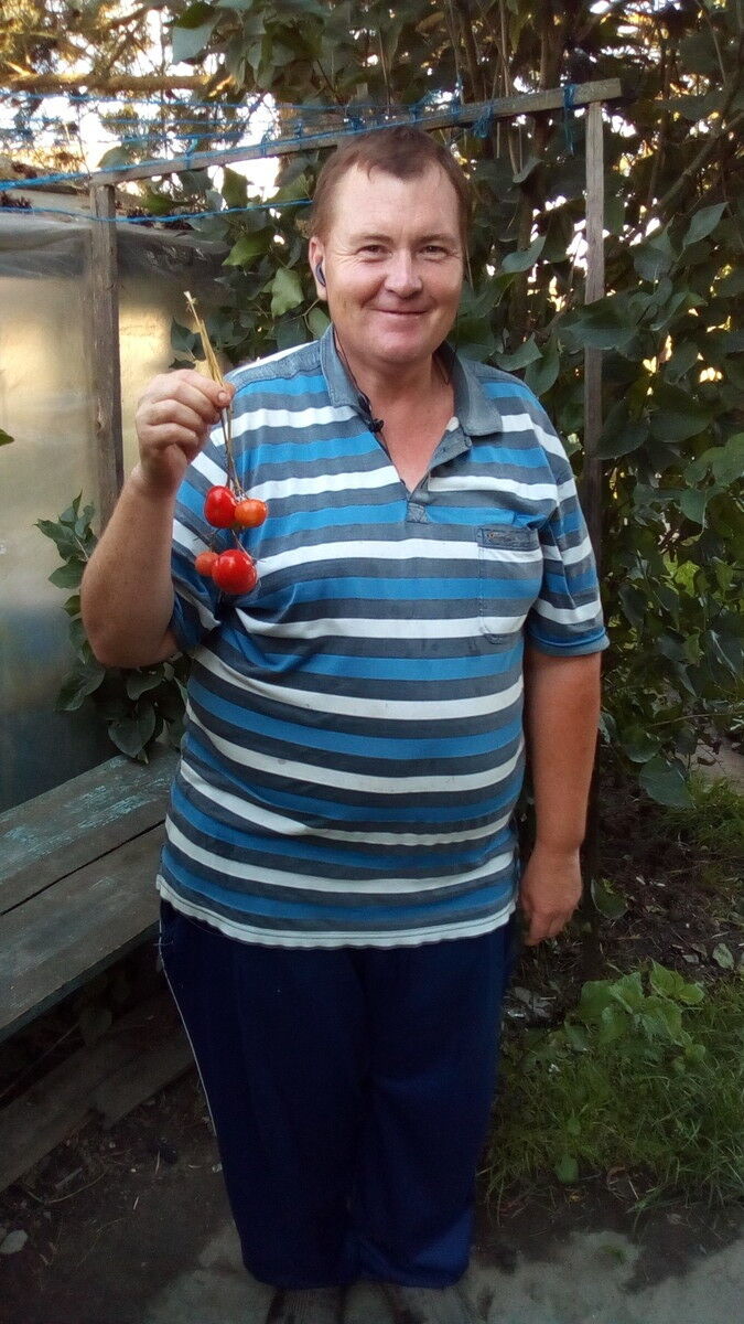  ,   , 52 ,  