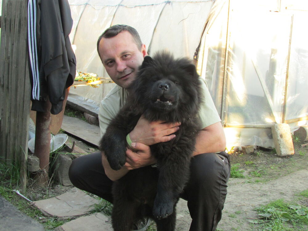 ���������� ��������, ���� ������� Dima37, 47 ���, ������������ ��� ������