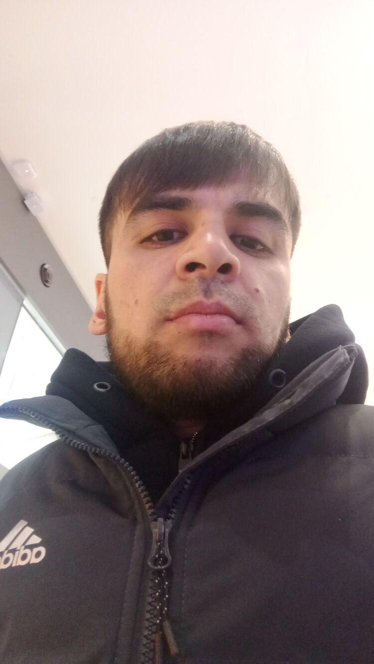  31978581  , 33 ,    