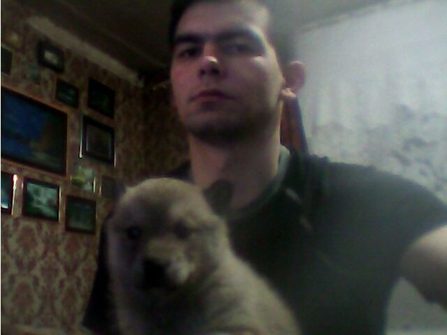 ���� 8073061 ������� Sergeu, 33 ����, ���� ���������� � ������������