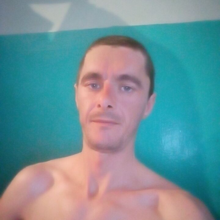  39279791  , 33 ,    