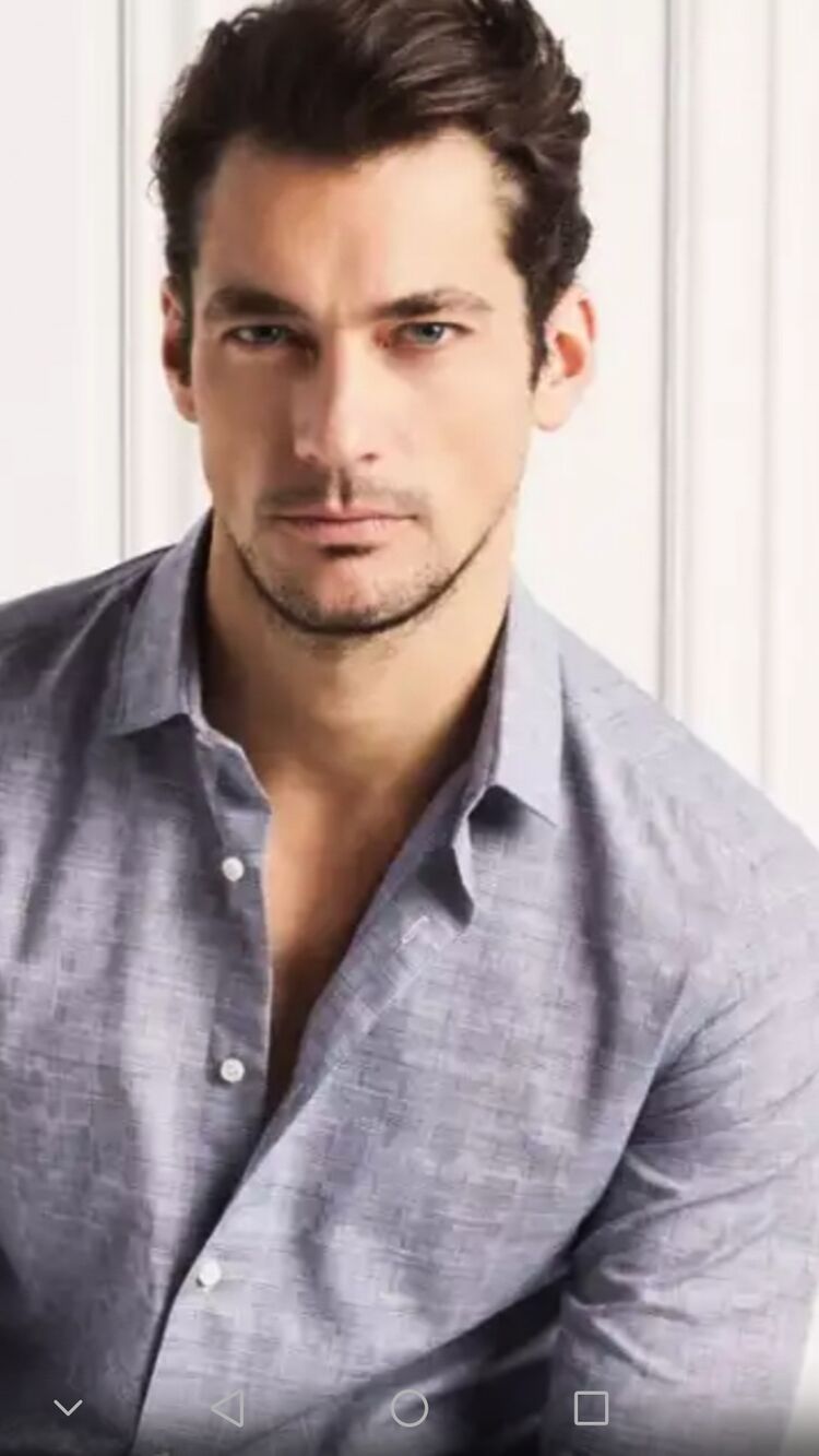 ���� 24171121 ������� ���������, 48 ���, ���� ���������� � ����������