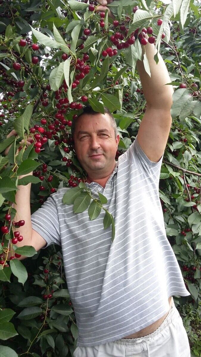 ���� 20534041 ������� ����, 58 ���, ���� ���������� � �����