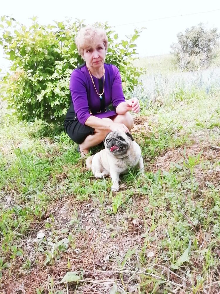 ���� 49342191 ������� Zoya, 63 ����, ���� ���������� � ��������