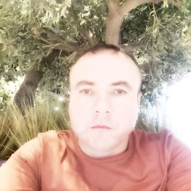  34374391  , 39 ,    