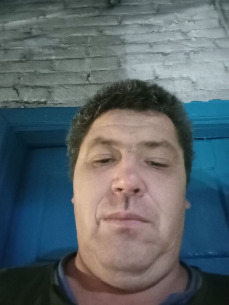  48063501  , 43 ,    
