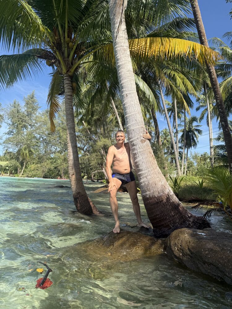 ���� 56085041 ������� �����, 46 ���, ���� ���������� � ����-����������