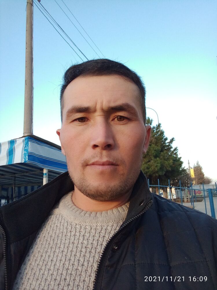 ���� 24444031 ������� ���, 36 ���, ���� ���������� � ��������